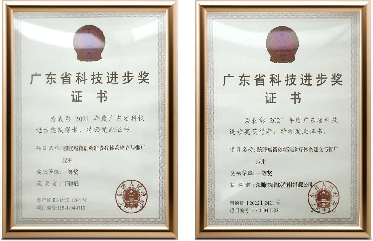 广东省科技进步奖证书